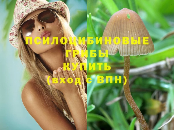 экстази Абаза