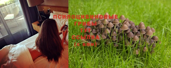 прущая мука Абдулино