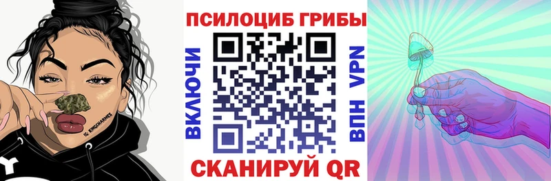 это телеграм Зерноград Псилоцибиновые грибы MAGIC MUSHROOMS как найти
