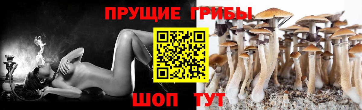 Галлюциногенные грибы MAGIC MUSHROOMS  Псилоцибиновые грибы прущие грибы  Зерноград  Вход с VPN 